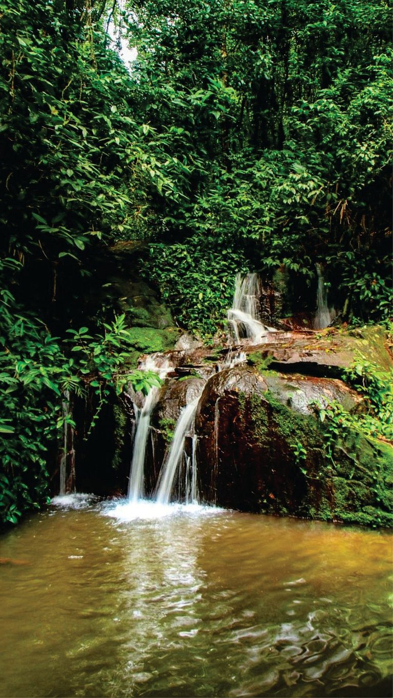 A Paz e Energia do Rodeadouro